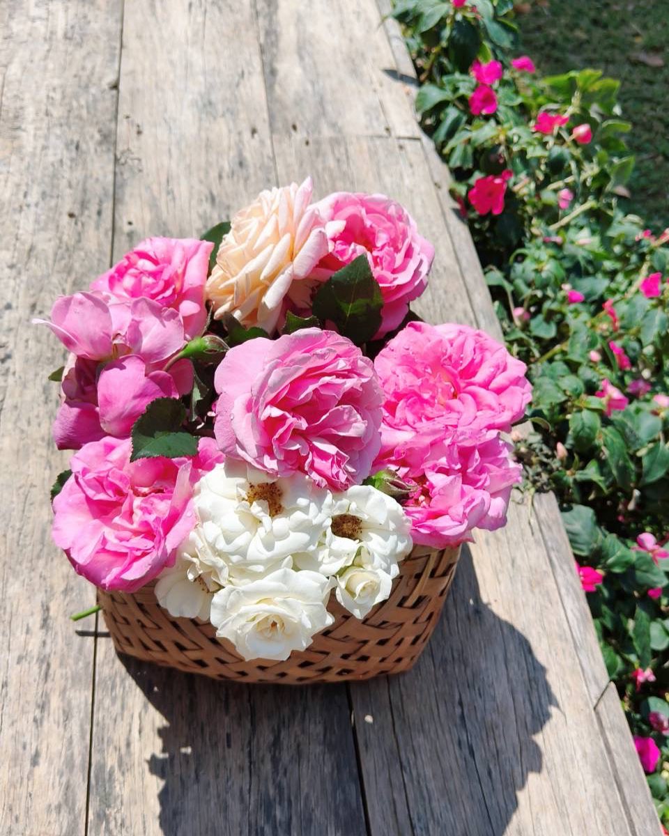 เวียร์ ศุกลวัฒน์