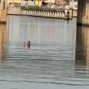 คนตกปลาตะลึงนึกว่าปาฏิหารย์เจอพระ(สงฆ์)พนมมือลอยน้ำ