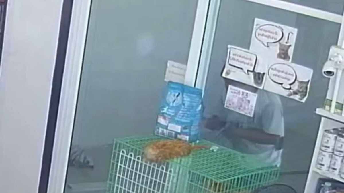 อุทาหรณ์ ทำปลั๊กพ่วงไฟใช้เองไฟรั่วช็อตช่างฝ้าดับคาที่ทำงาน