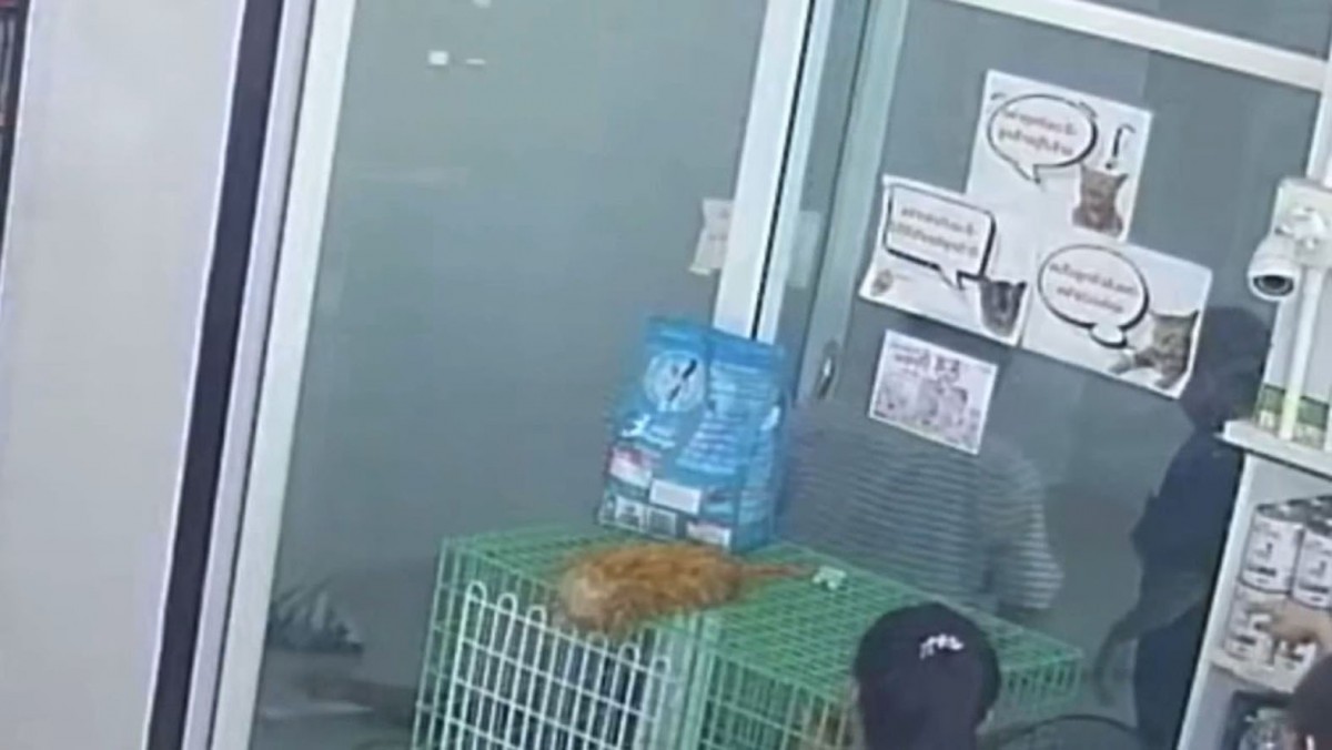 อุทาหรณ์ ทำปลั๊กพ่วงไฟใช้เองไฟรั่วช็อตช่างฝ้าดับคาที่ทำงาน