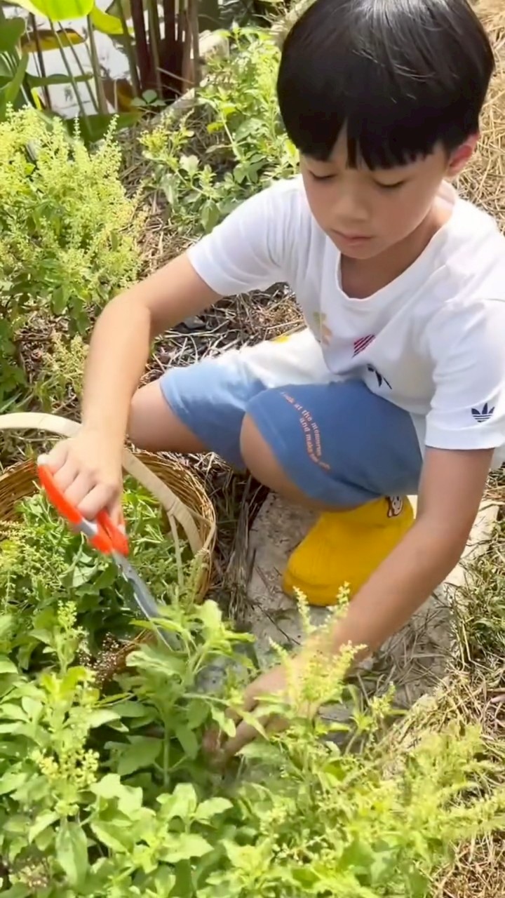 ชมพู่ อารยา