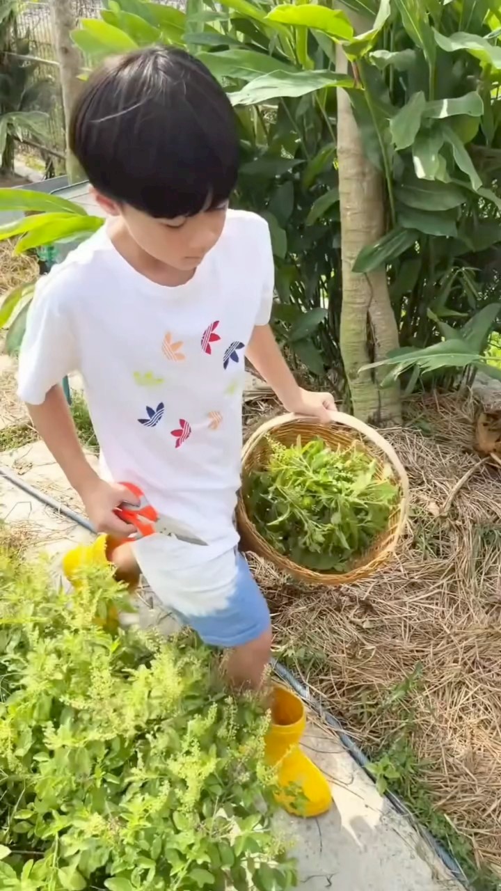 ชมพู่ อารยา