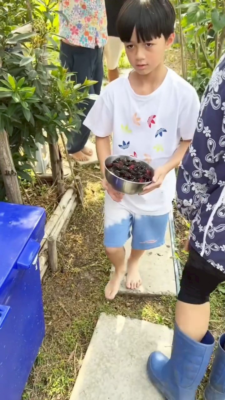 ชมพู่ อารยา