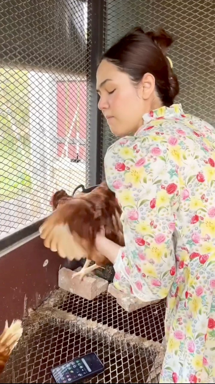 ชมพู่ อารยา