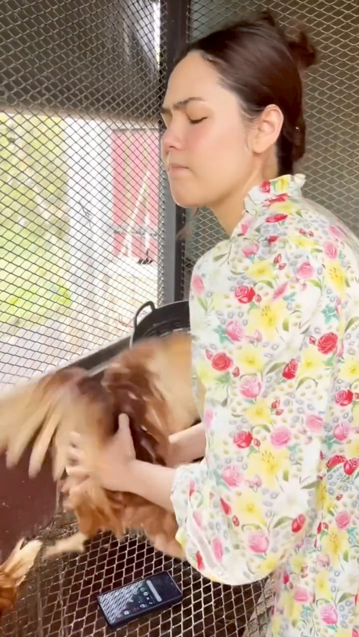 ชมพู่ อารยา