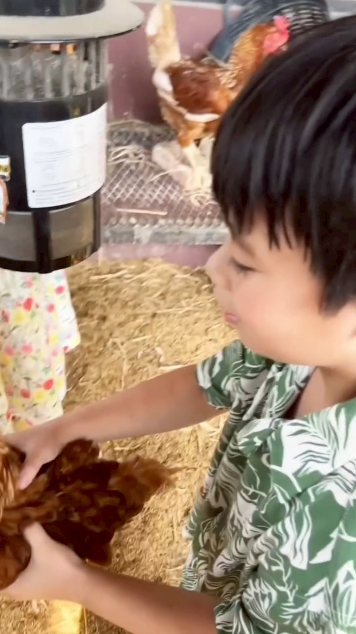 ชมพู่ อารยา