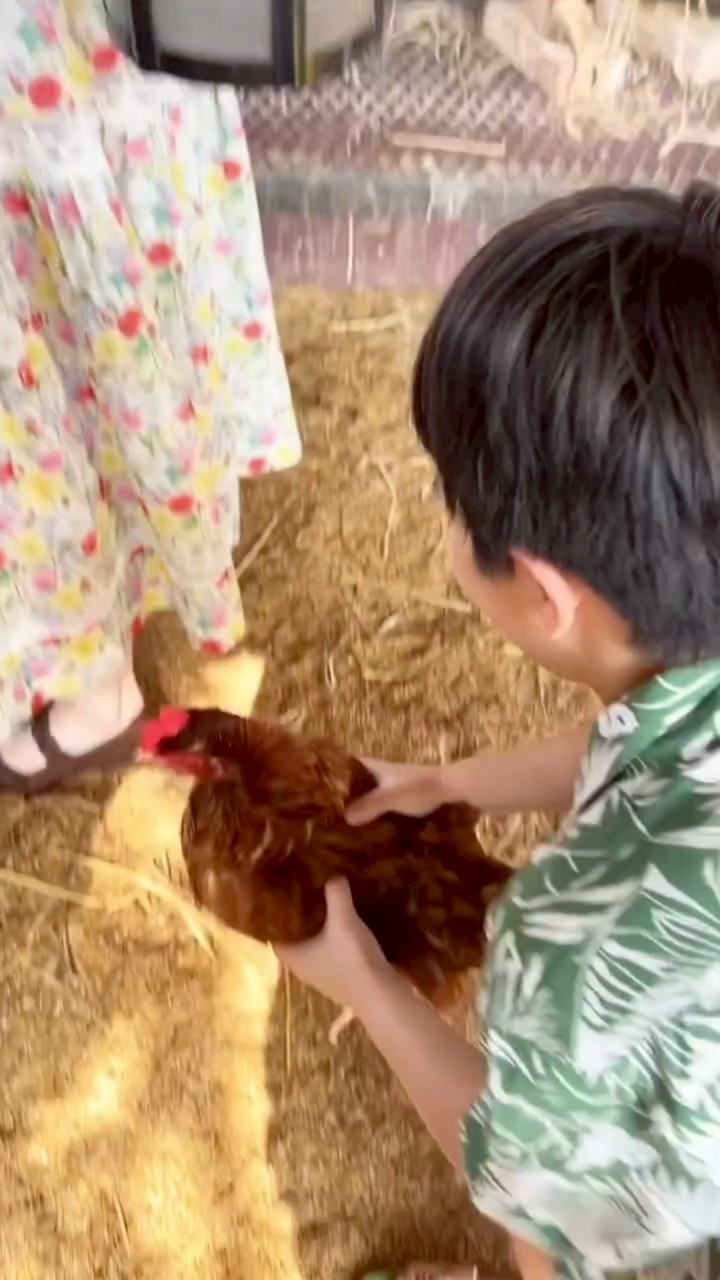 ชมพู่ อารยา