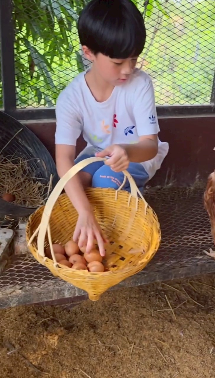 ชมพู่ อารยา