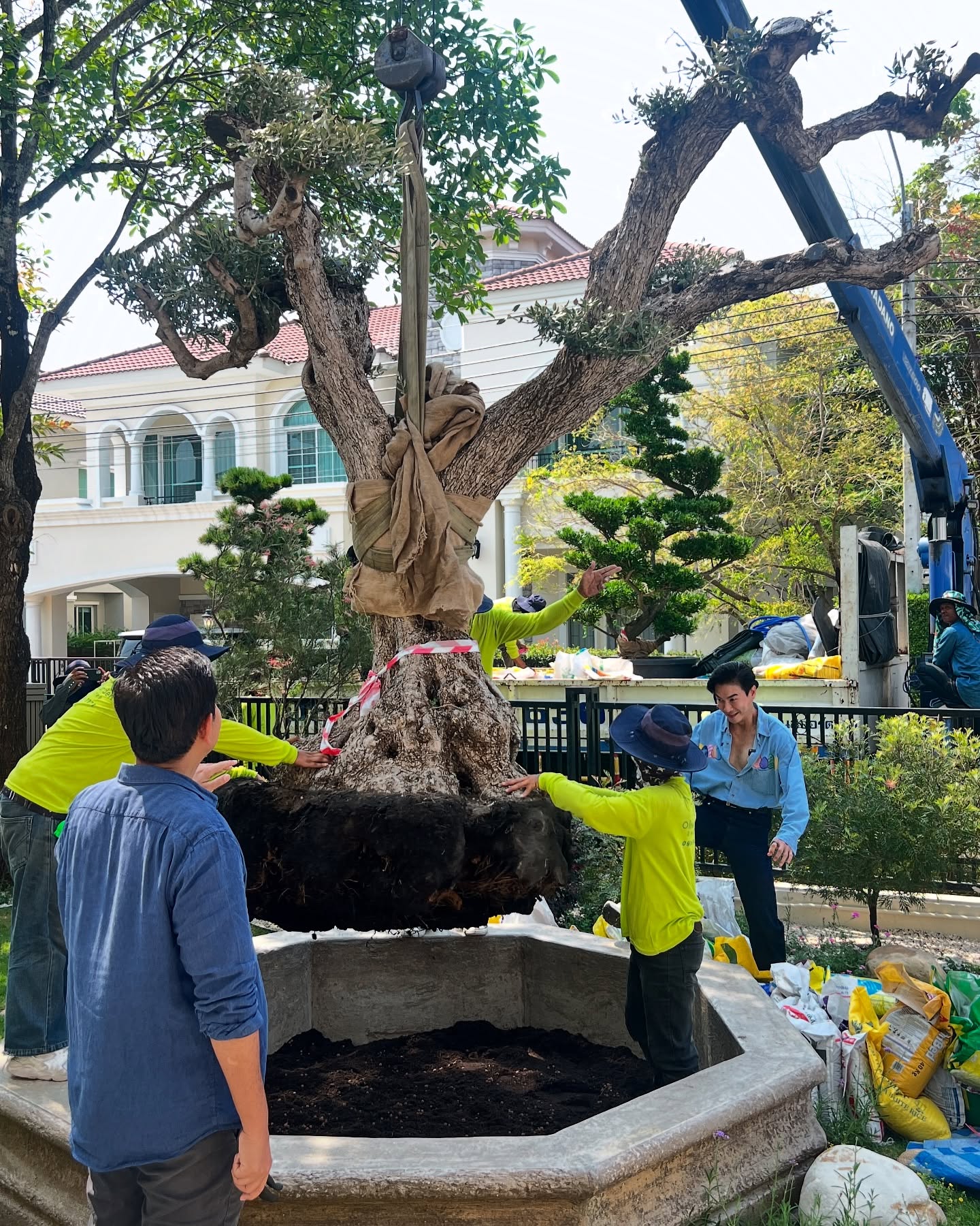ตู่ ปิยวดี