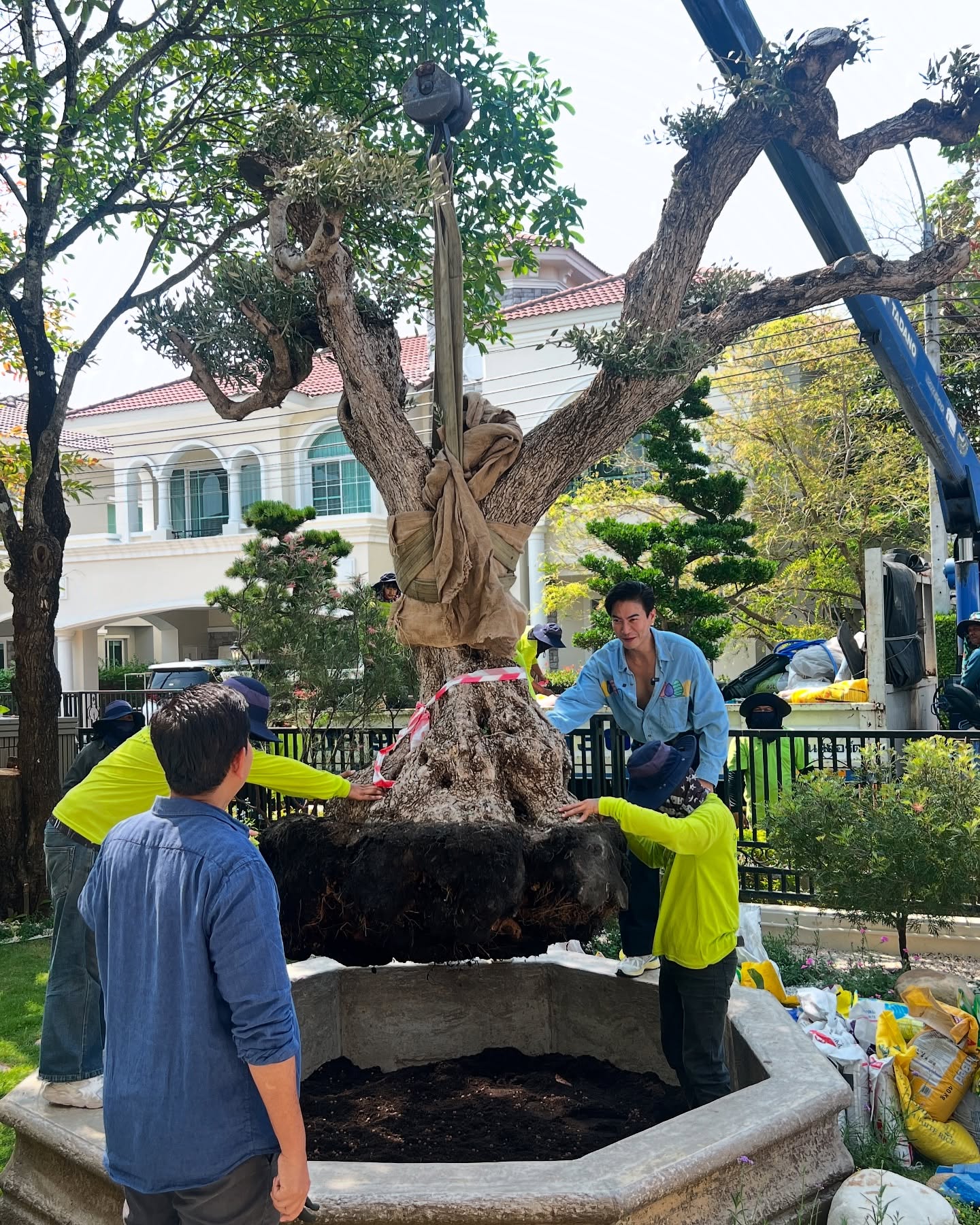 ตู่ ปิยวดี