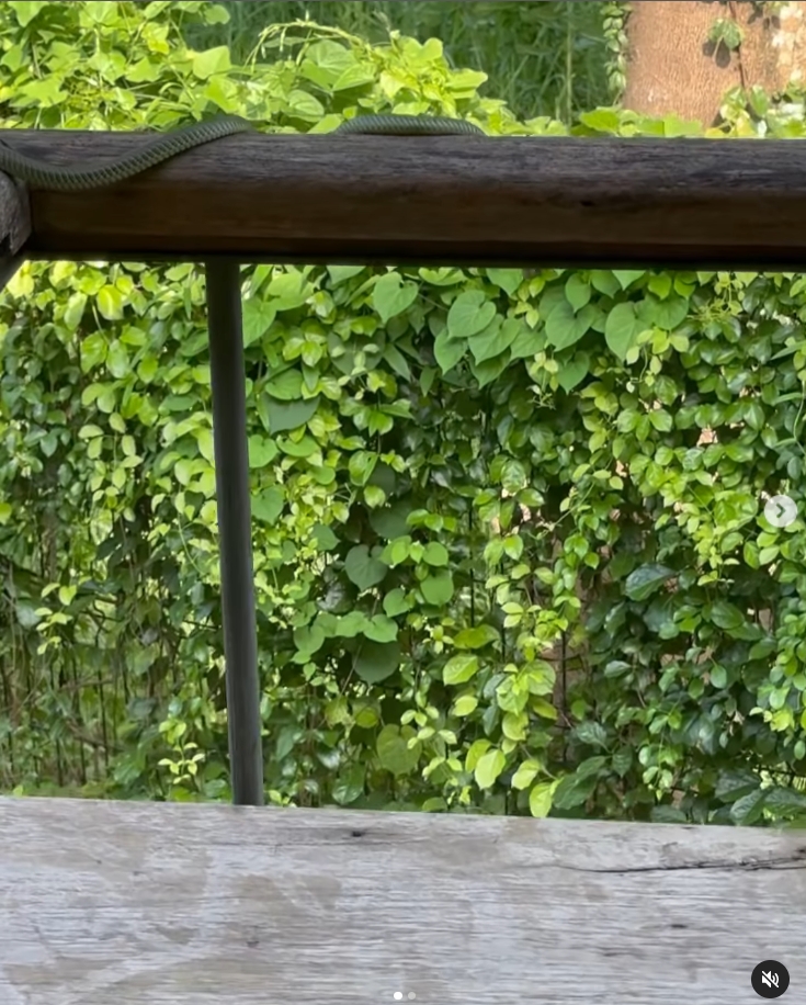 หน่อย บุษกร