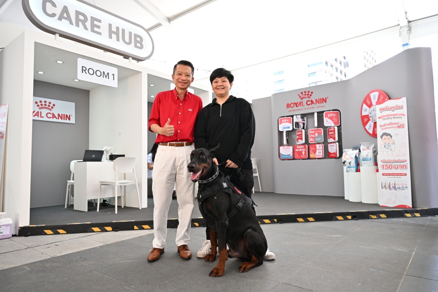 สกาย-นานิ Royal Canin