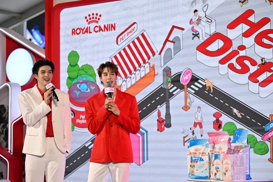 สกาย-นานิ Royal Canin