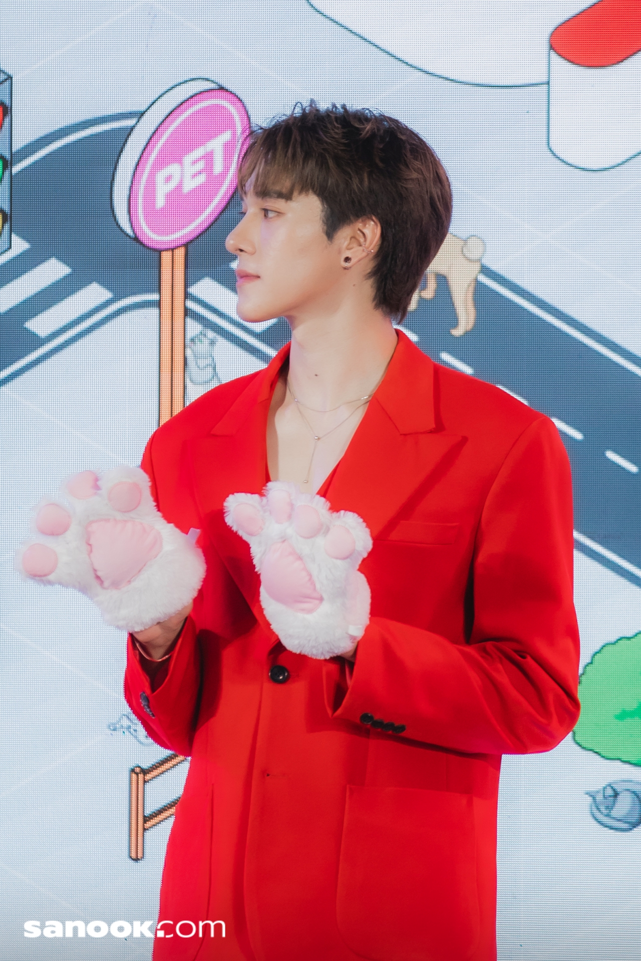 สกาย-นานิ Royal Canin