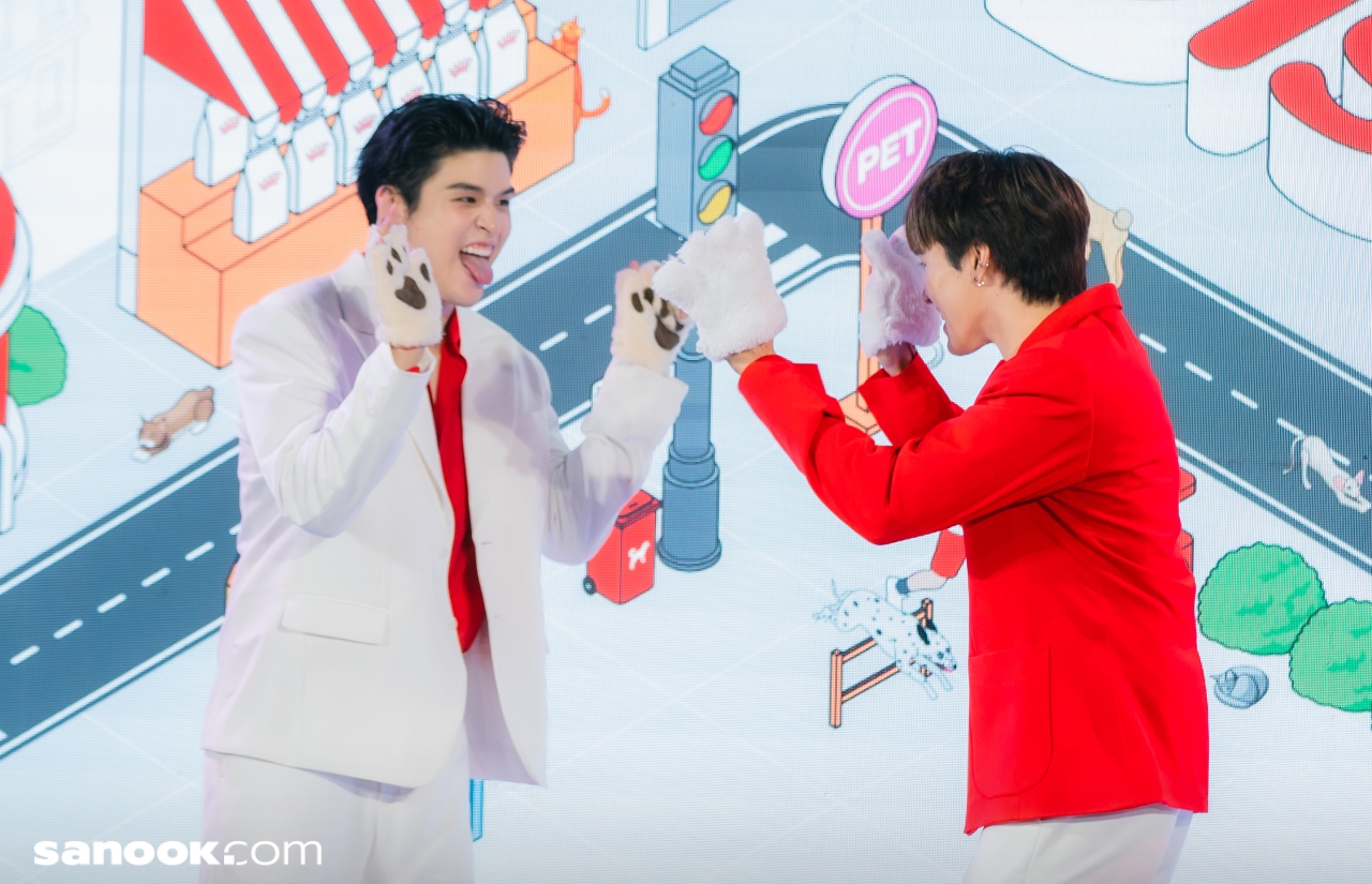 สกาย-นานิ Royal Canin