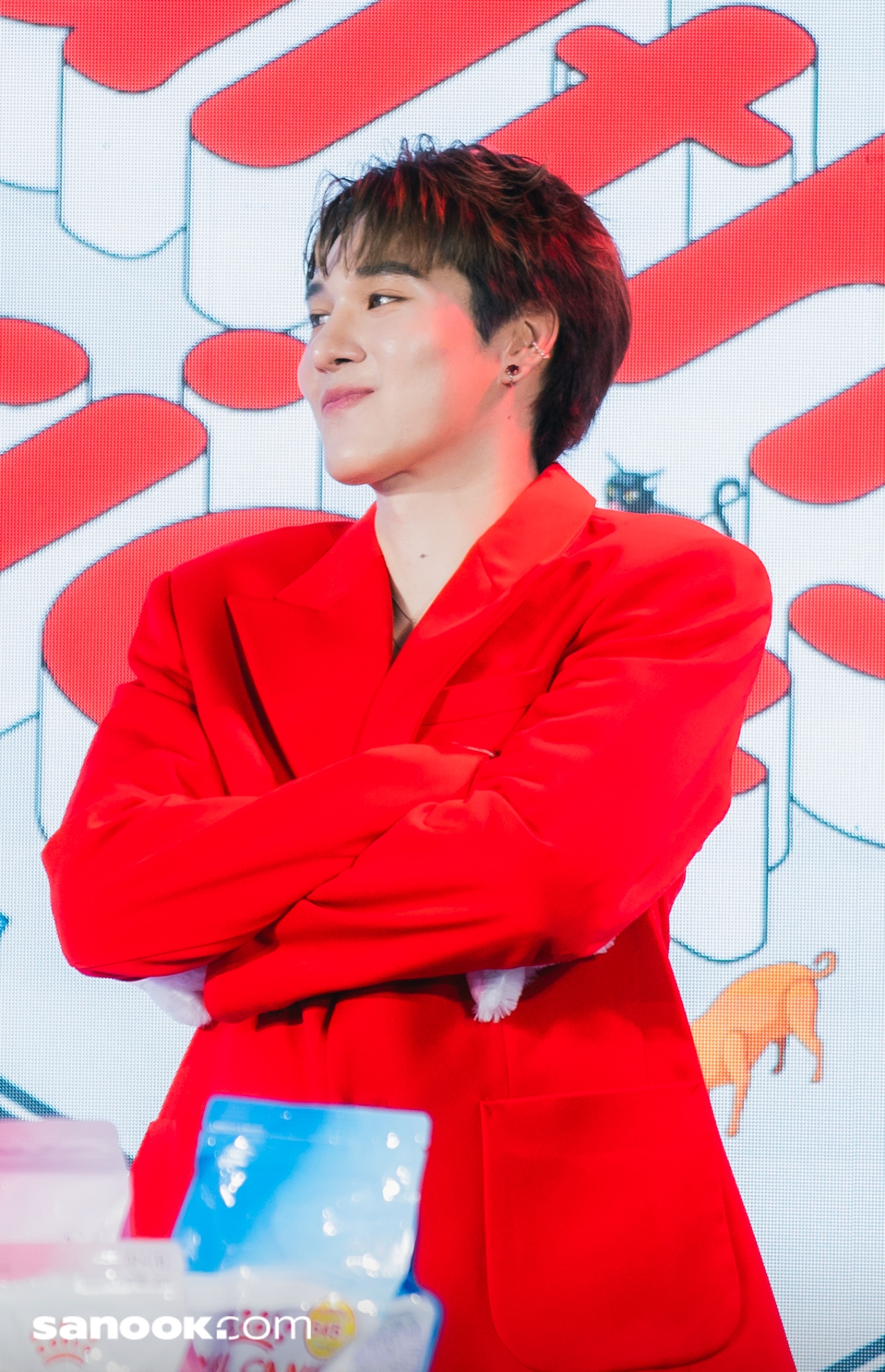 สกาย-นานิ Royal Canin