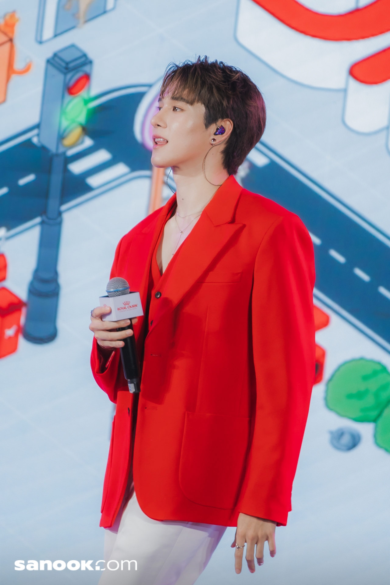 สกาย-นานิ Royal Canin