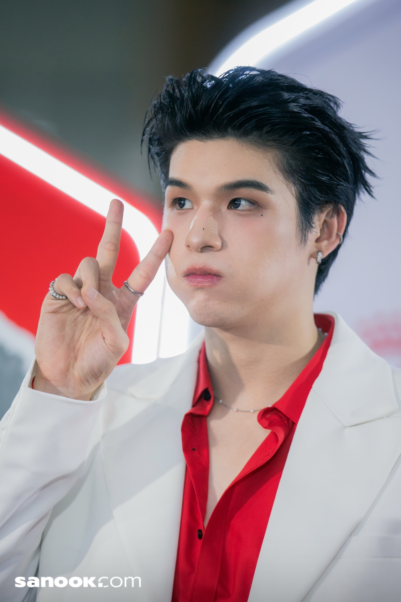 สกาย-นานิ Royal Canin