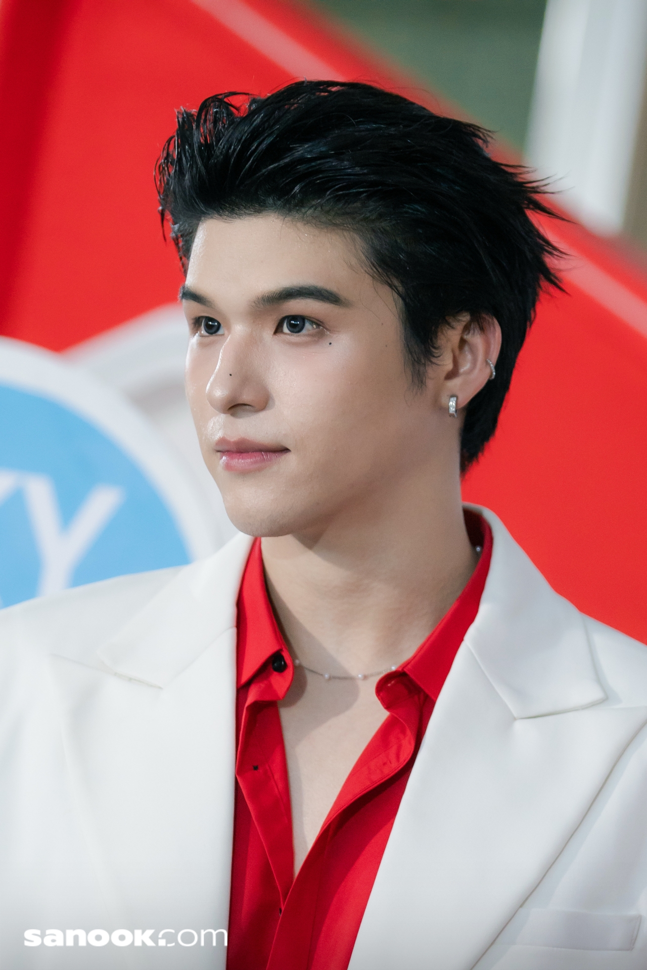 สกาย-นานิ Royal Canin