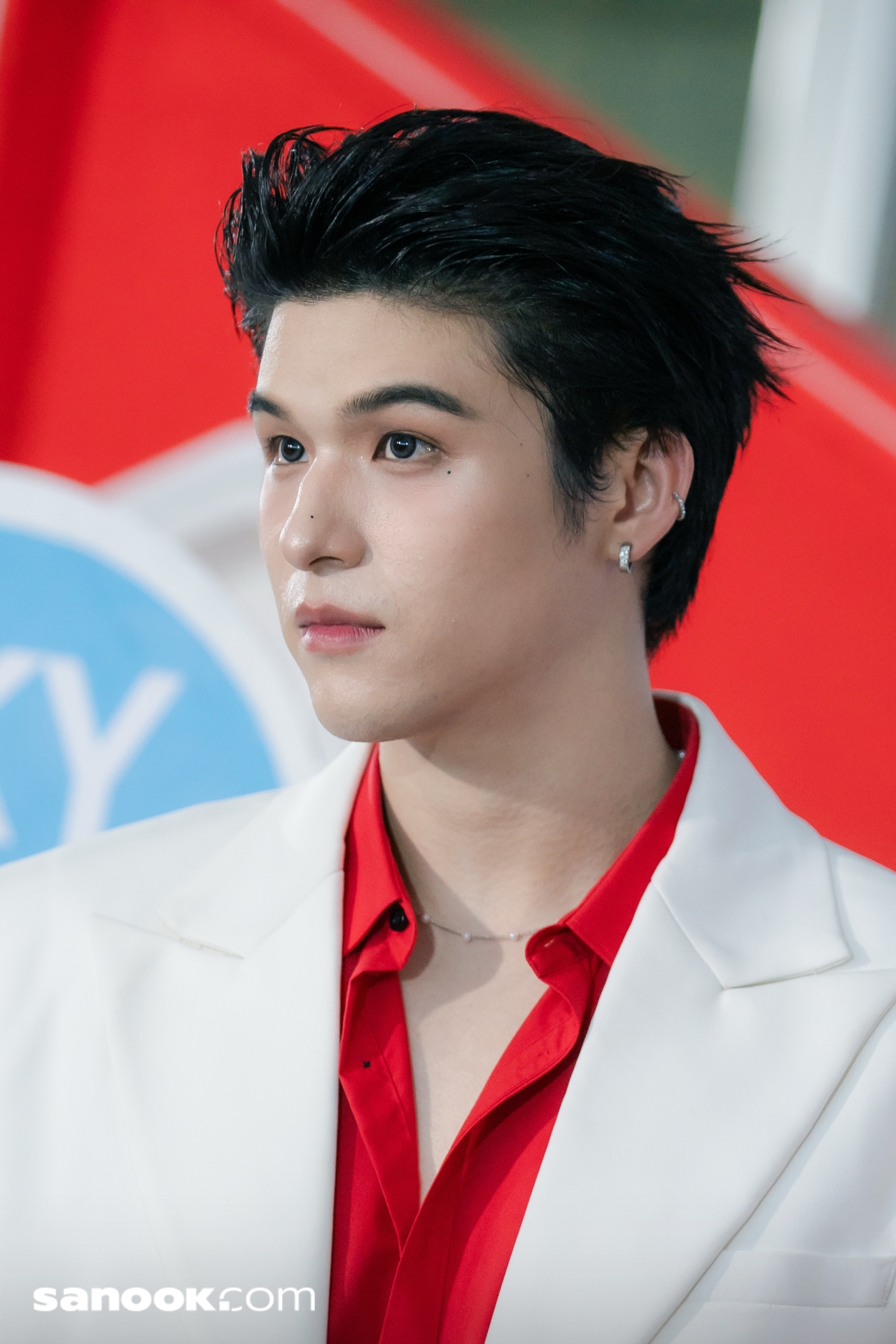 สกาย-นานิ Royal Canin