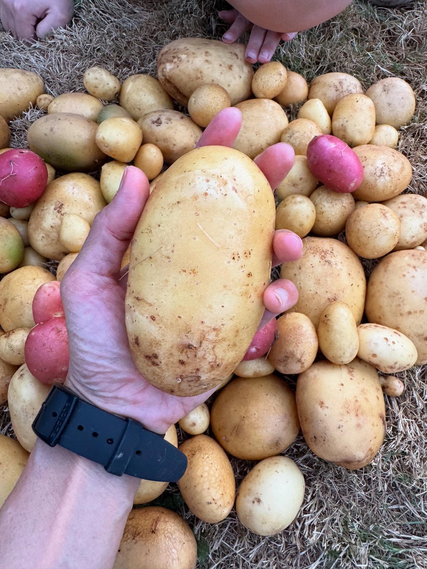 อุ้ม สิริยากร