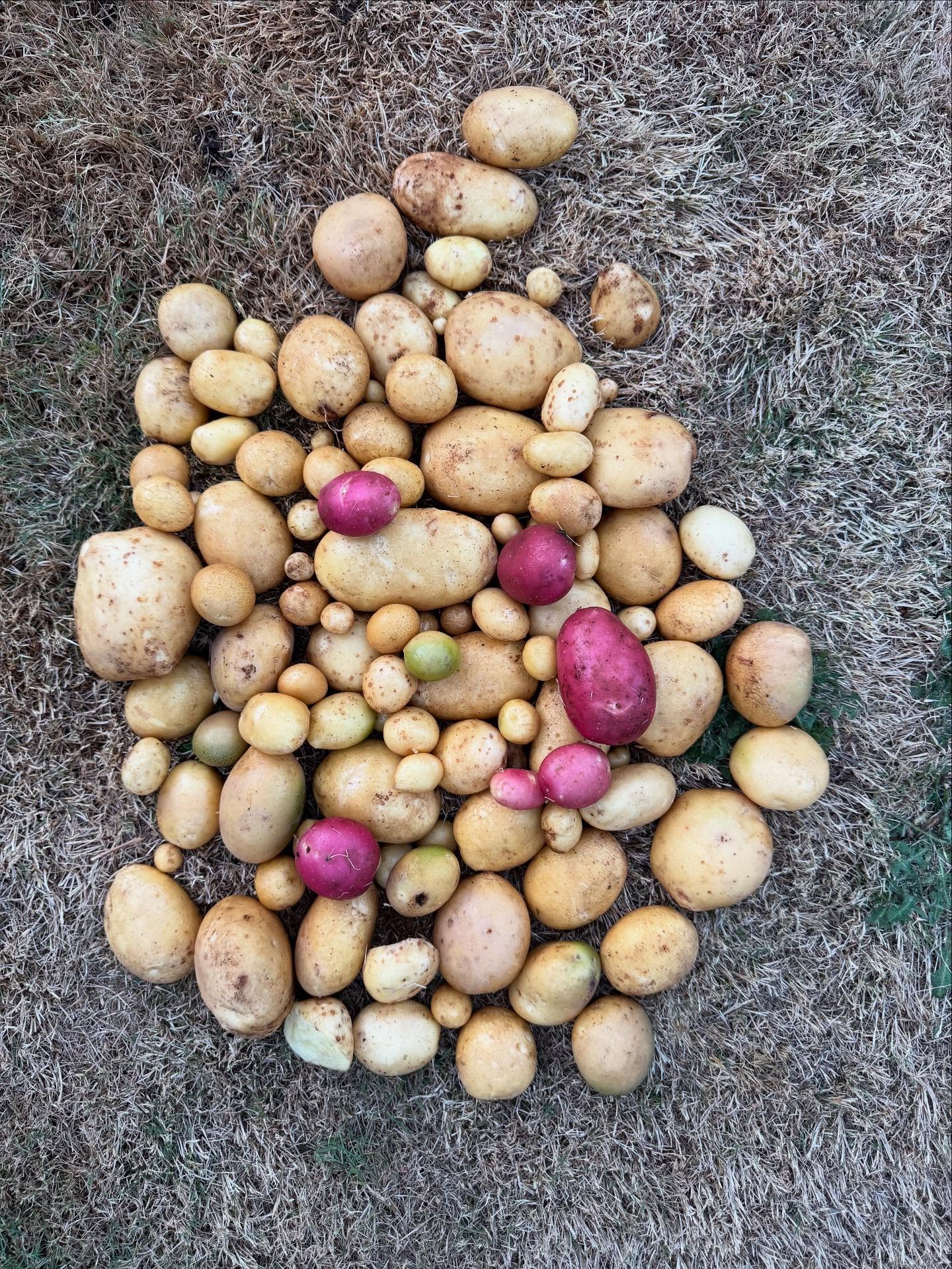 อุ้ม สิริยากร