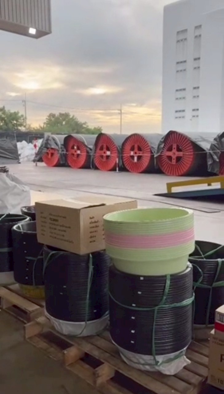 ชมพู่ น็อต