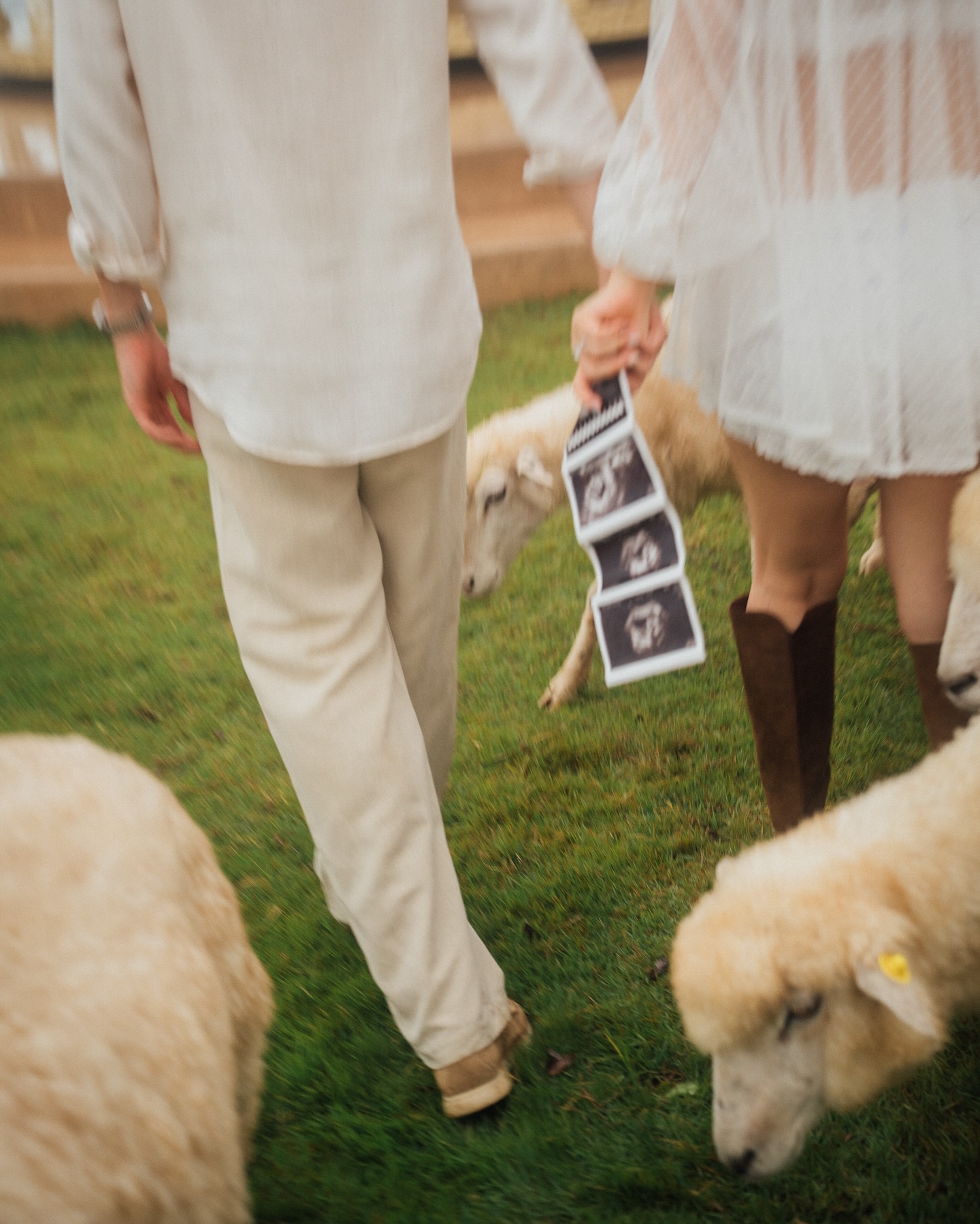 เจมส์ จิรายุ - โฟม เบ็ญจมาส