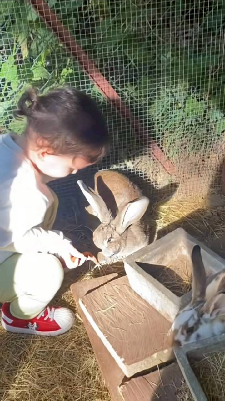 น้องเลอา