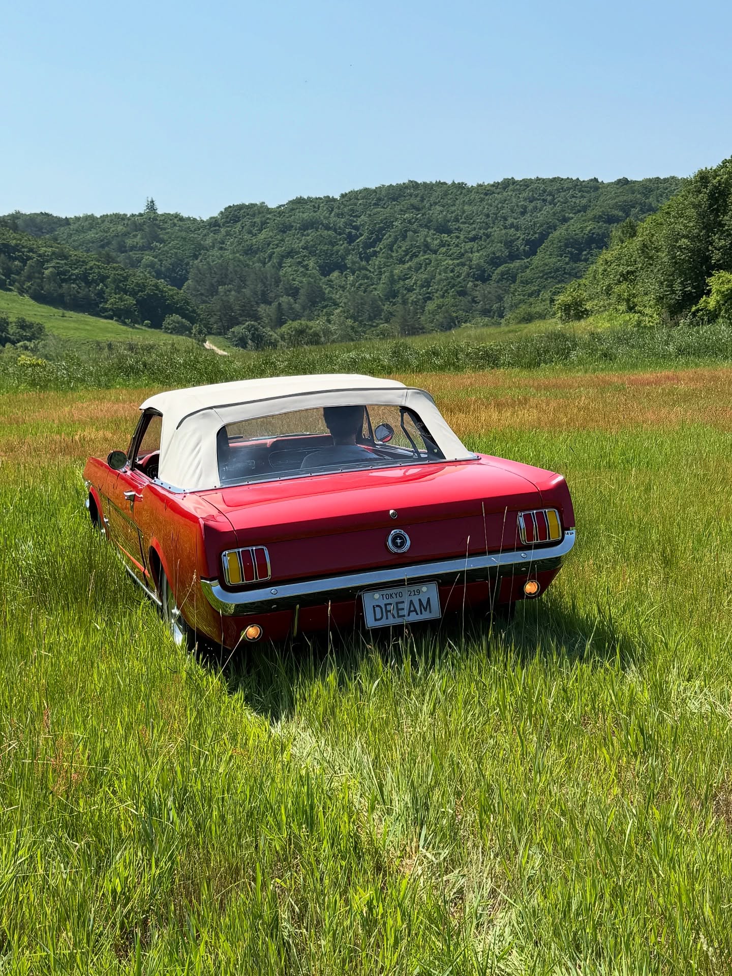 ดราม่า ลิซ่า กับ เคนทาโร่