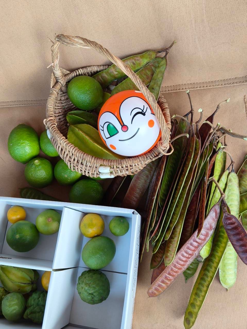 น้องวิริน