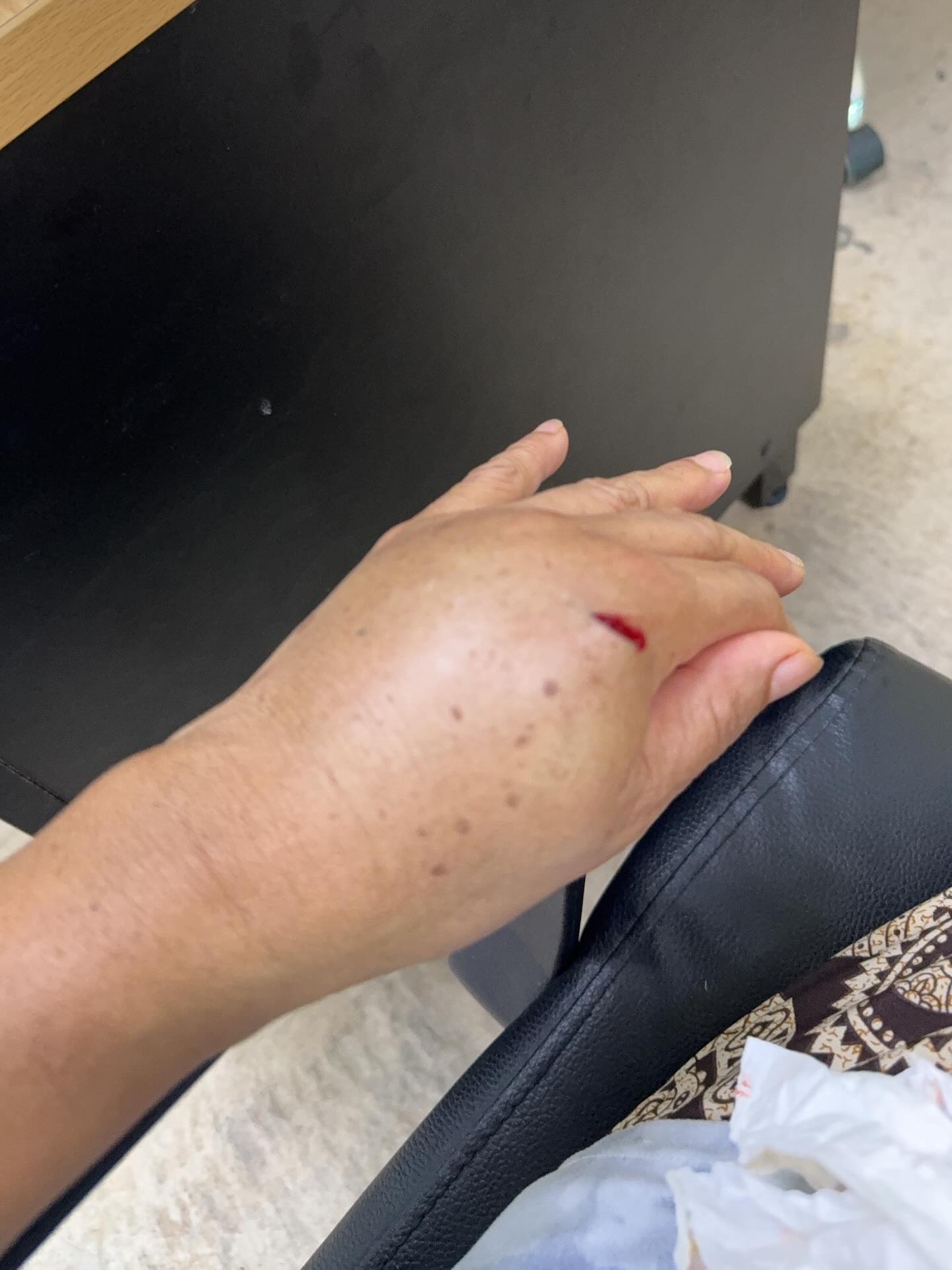 โบว์ เมลดา