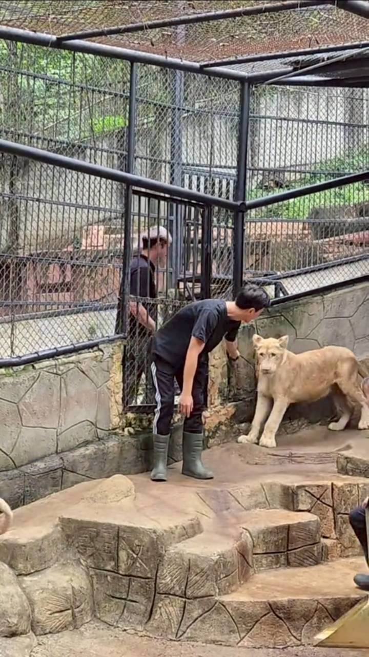 ภูผา เตชะณรงค์