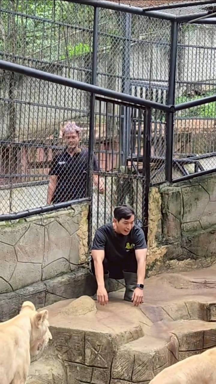 ภูผา เตชะณรงค์