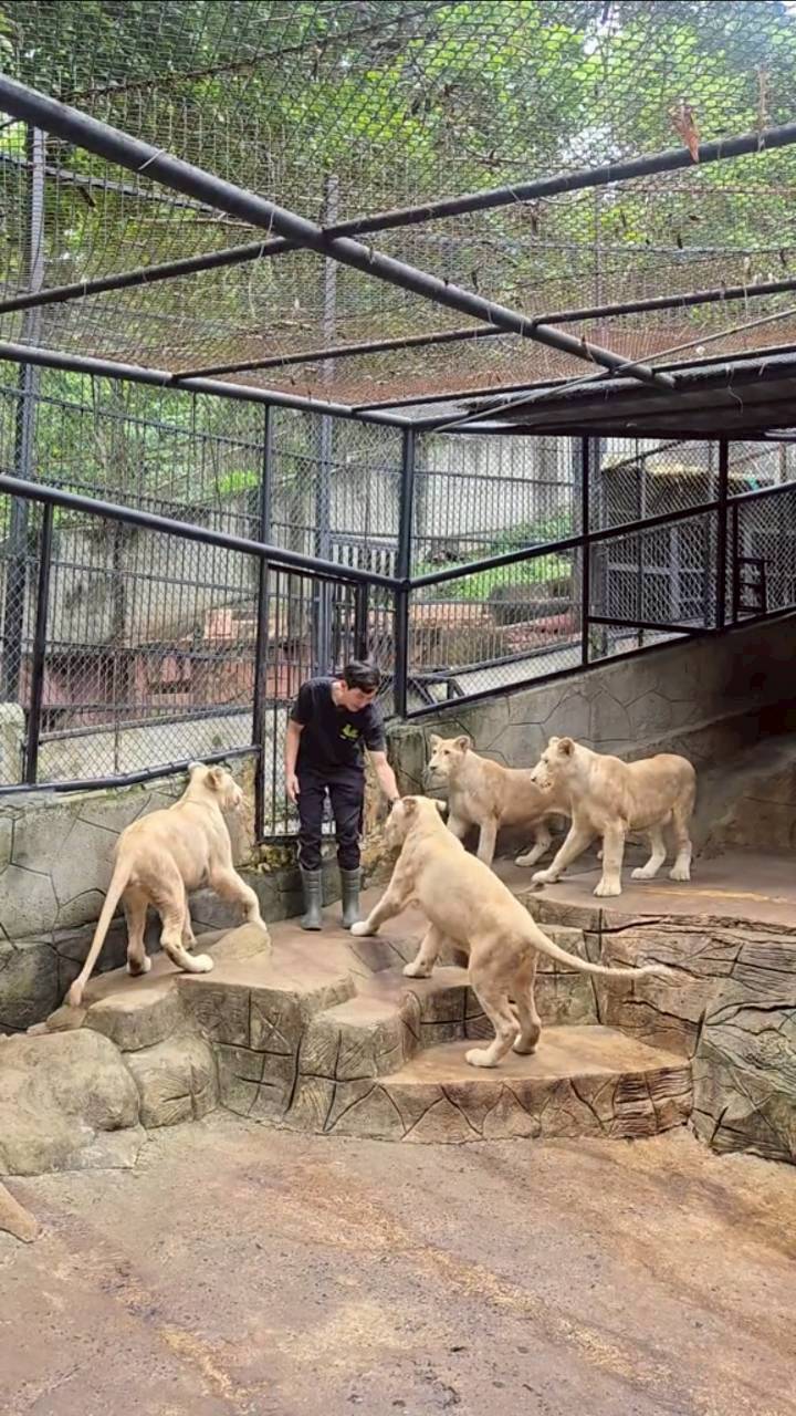 ภูผา เตชะณรงค์