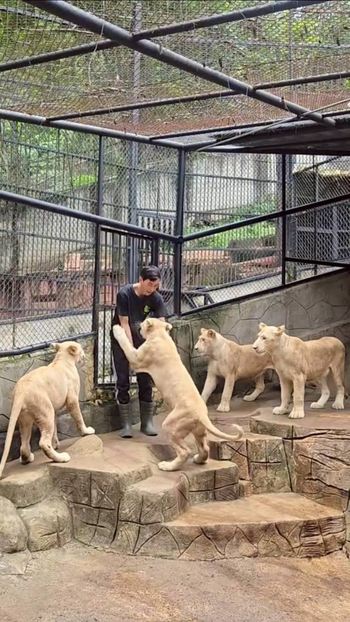 ภูผา เตชะณรงค์