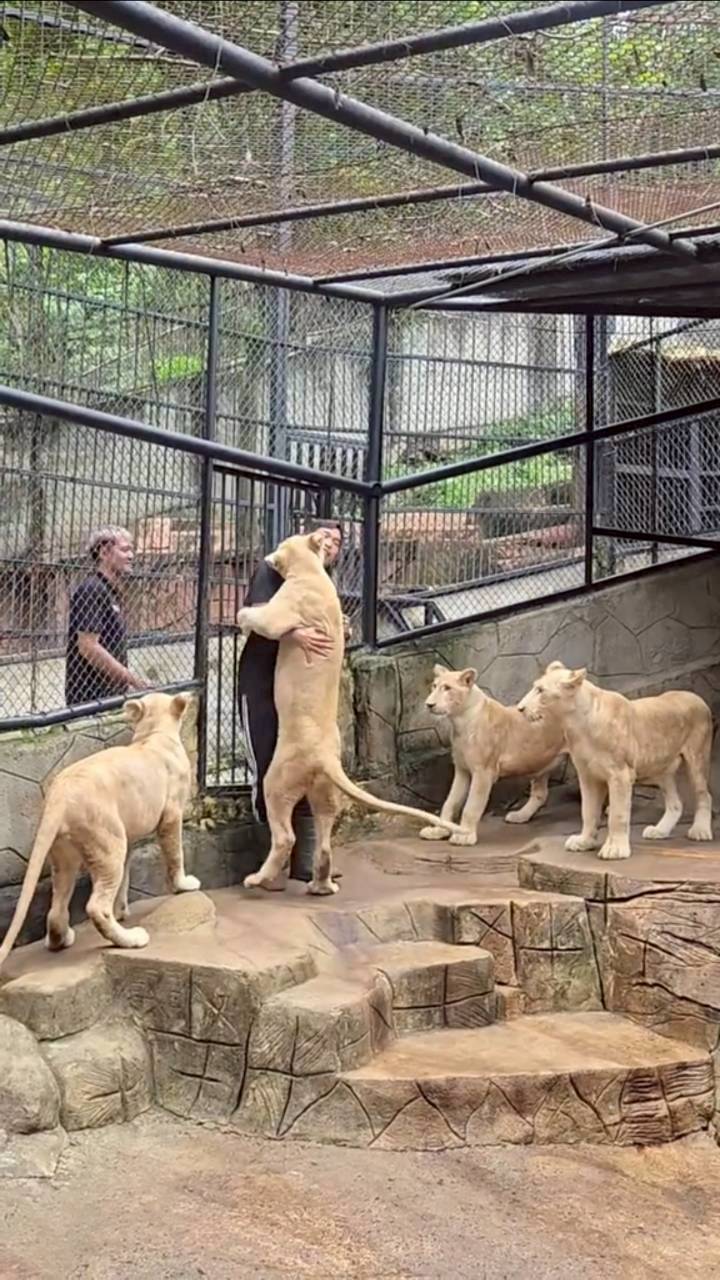 ภูผา เตชะณรงค์