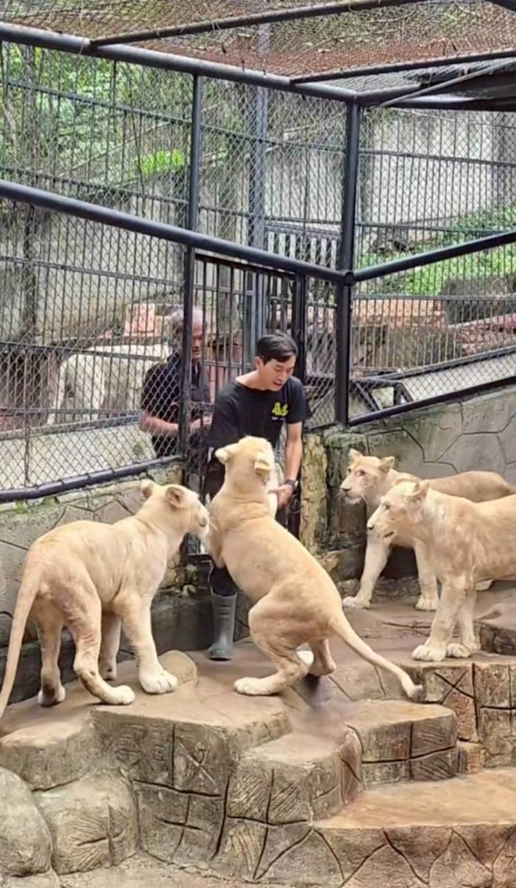 ภูผา เตชะณรงค์