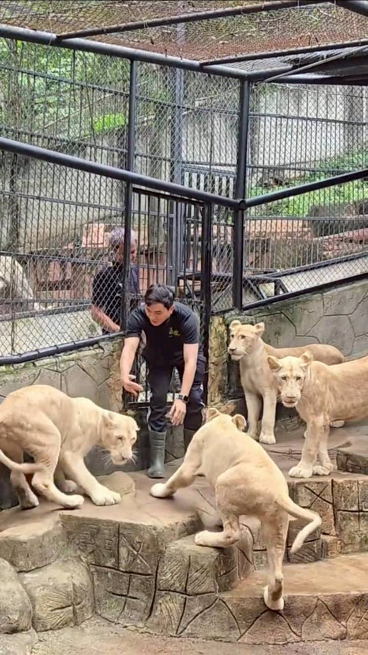 ภูผา เตชะณรงค์