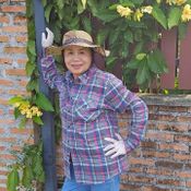 ยายหนิง