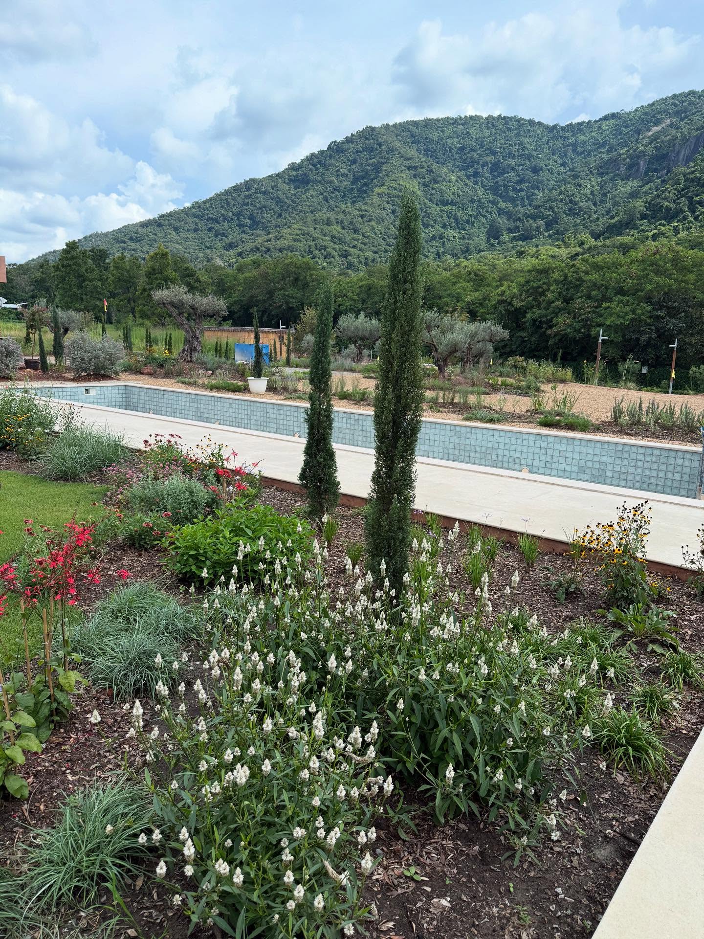 ญาญ่า อุรัสยา