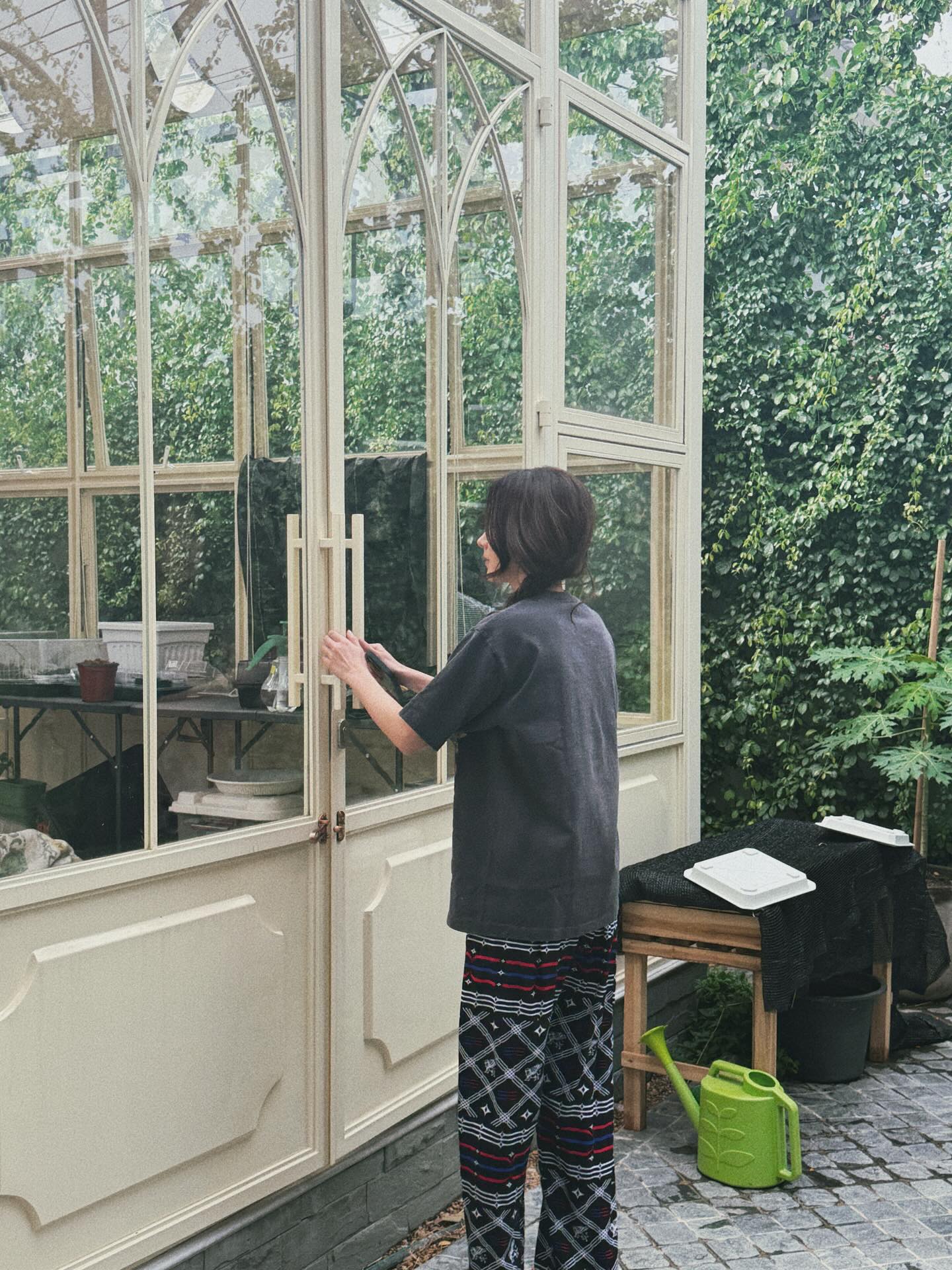 ใบเฟิร์น พิมพ์ชนก