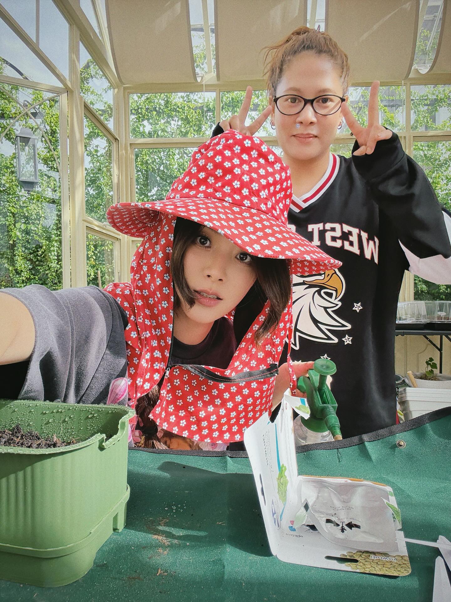 ใบเฟิร์น พิมพ์ชนก