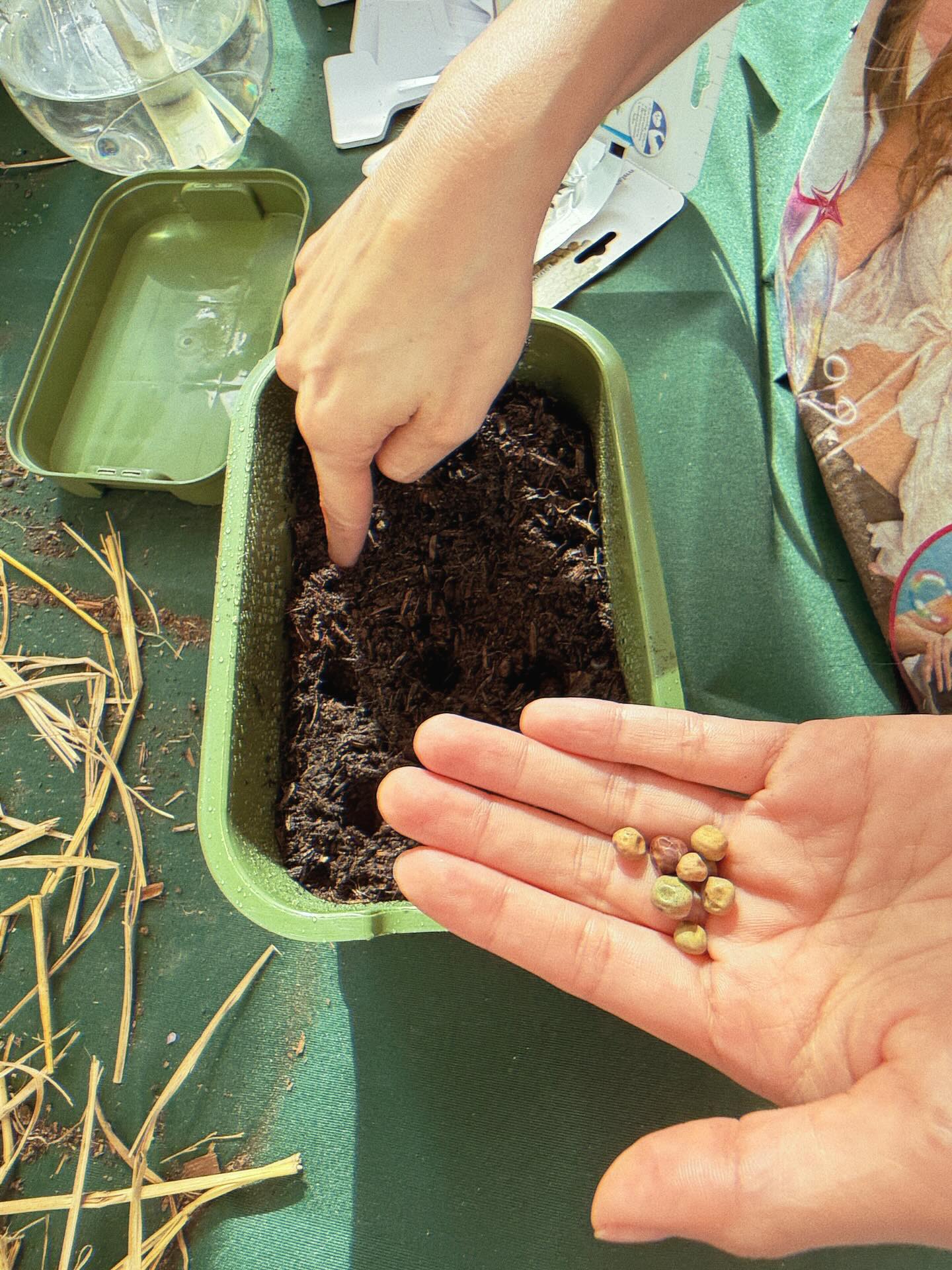 ใบเฟิร์น พิมพ์ชนก