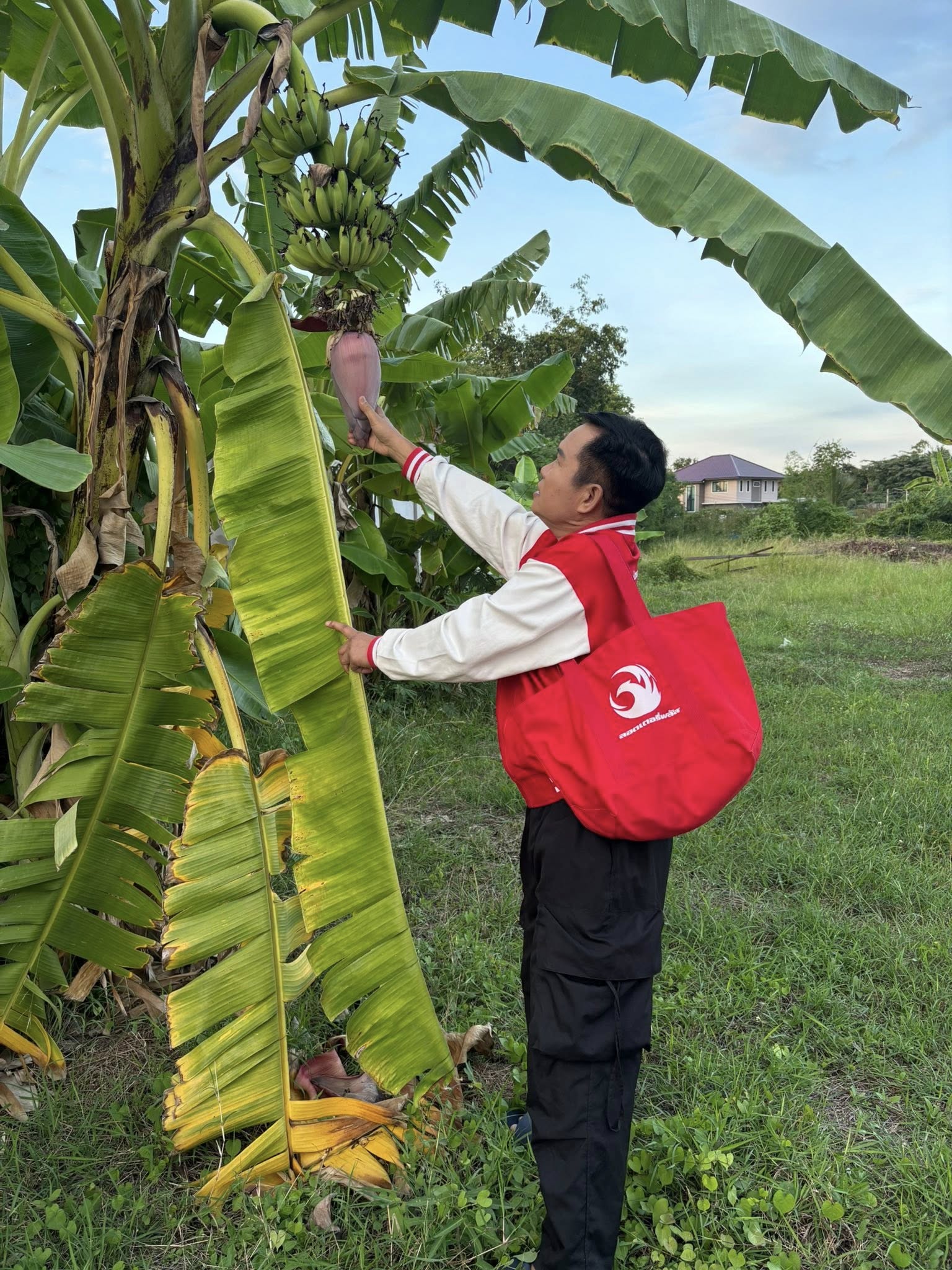 มนต์สิทธิ์ คำสร้อย