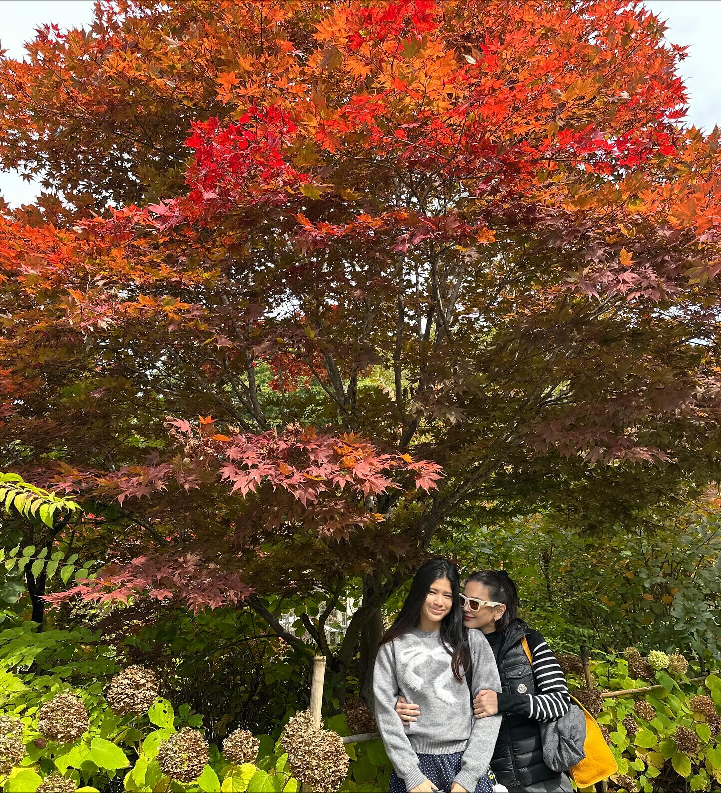 อ้อม พิยดา