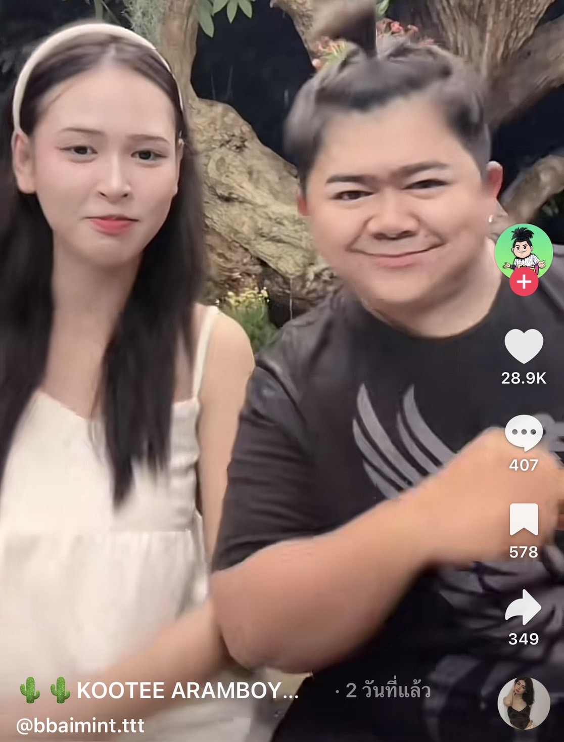 โก๊ะตี๋ ใบมิ้นต์