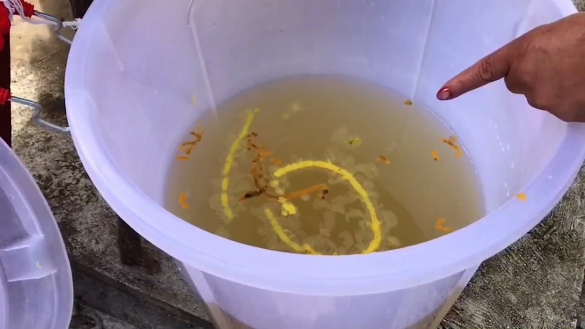 ---สุรินทร์-ขอหวยสุดแปลก จุดเทียนหยดใส่น้ำมนต์ ปิดฝาถัง ชาวบ้านแห่ส่องเลขเด็ดเสี่ยงโชคงวดที่จะถึง