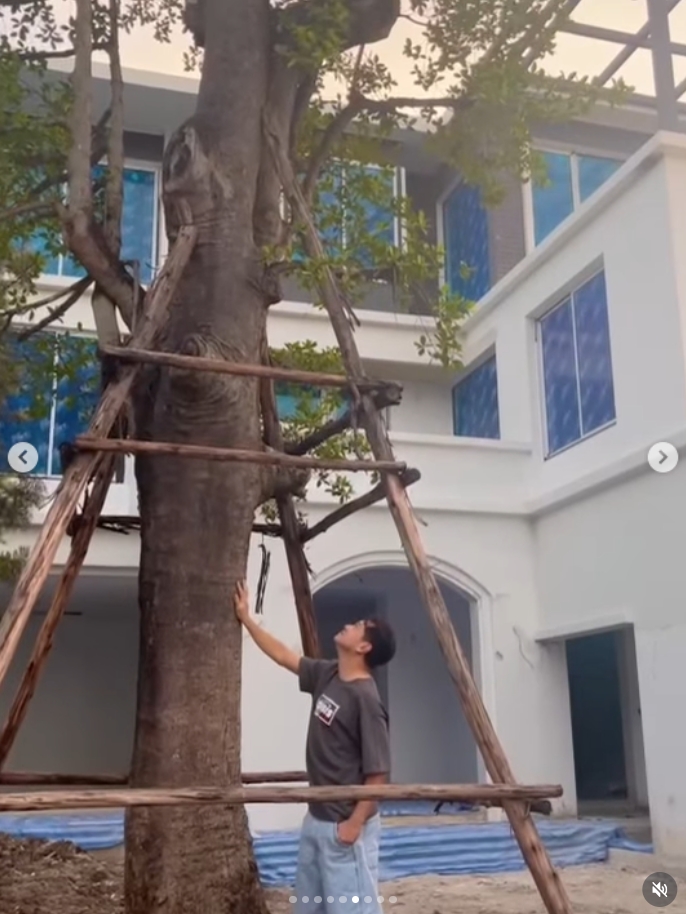 เต๋า สมชาย