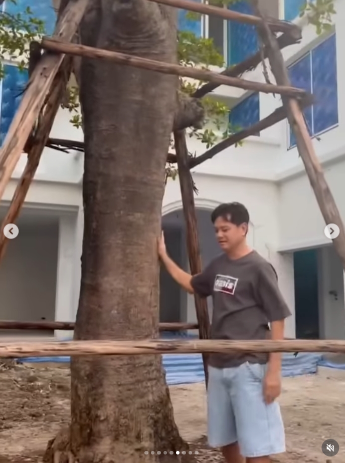 เต๋า สมชาย